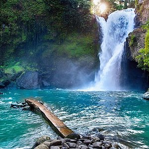 Ubud Trip, The best of Ubud in a Day - All Inclusive